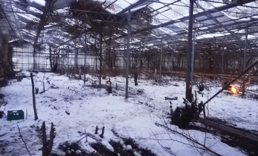 Nöteriet i Kivik, vintern 2024
