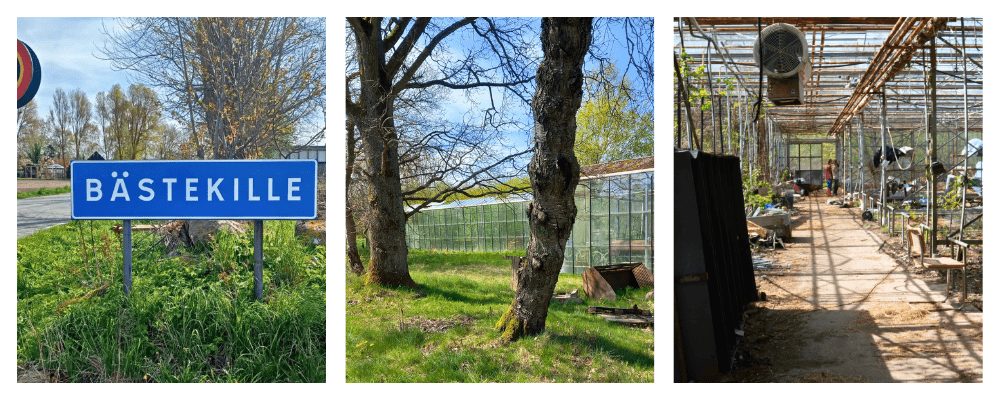 Omgivningarna vid Nöteriet, vägskylt i samhället Bästekille och träd